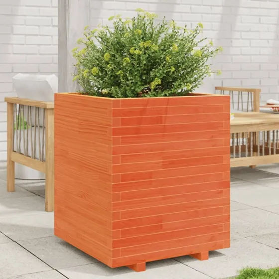 Plantekasse i massivt fyrretræ 60×60×72,5 cm – gyldenbrun