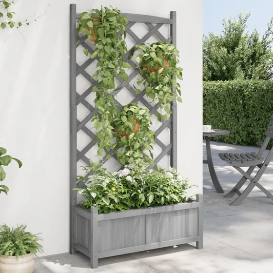 Plantekasse med espalier i massivt grantræ - grå
