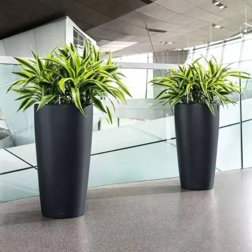 Lechuza Rondo Premium selvvanding krukke – sort/hvid/grå eller taupe, H56/H75