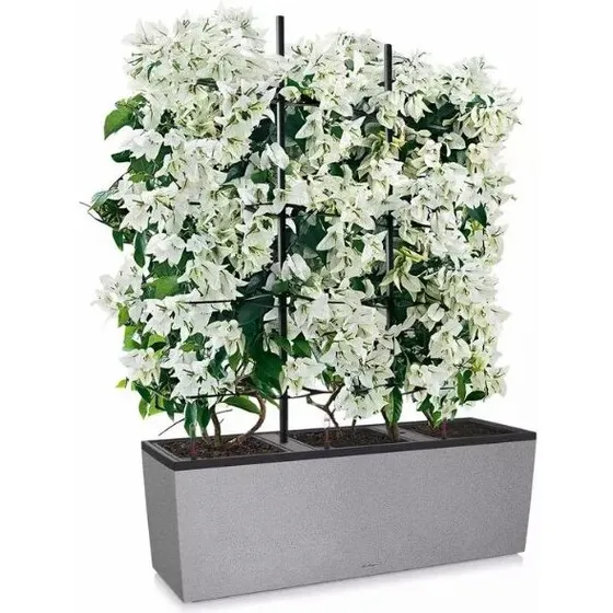 Lechuza TRIO Stone 40 cm inkl. espalier, stengrå