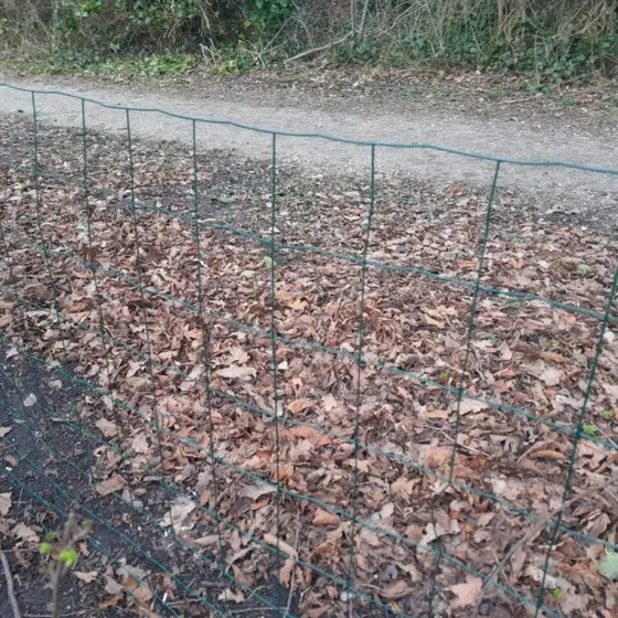 Hortus havehegn 100 x 20 m, masker 10x10 cm, grøn