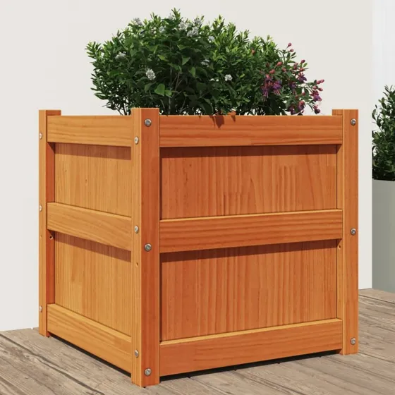 Plantekasse i massivt fyrretræ 50x50x50 cm – gyldenbrun