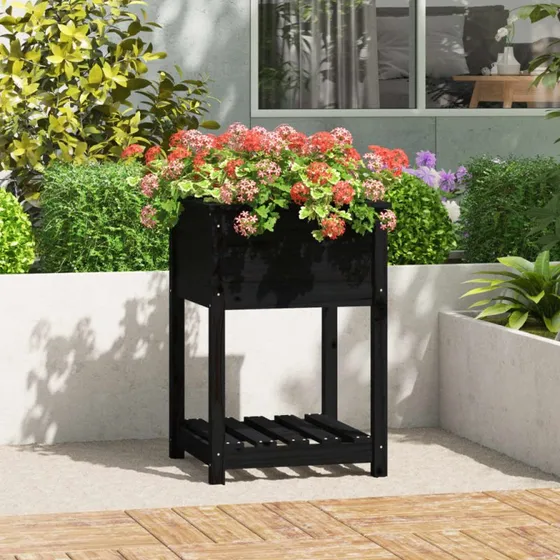 Plantekasse i massivt fyrretræ med hylde 54x54x81 cm - sort