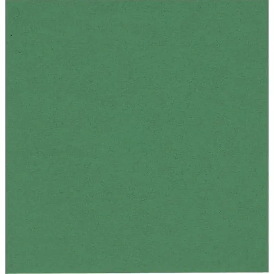 Abena Frokostserviet 2-lags 1/4 fold 33x33 cm grøn, 100 stk