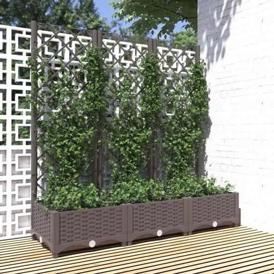 Haveplantekasse med espalier 120x40x121,5 cm - brun