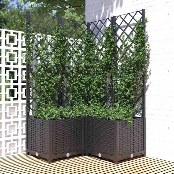 Plantekasse med espalier 80x80x136 cm - Sort PP