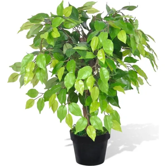 Kunstig Dvrg Ficus 60 cm med Potte