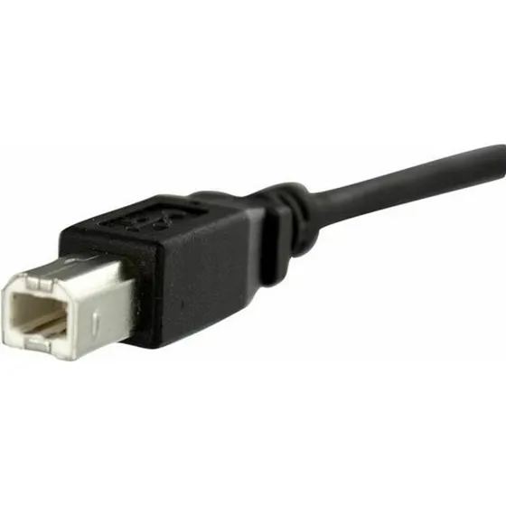 StarTech Panelmonteret USB Type B kabel 30 cm (USB 2.0)