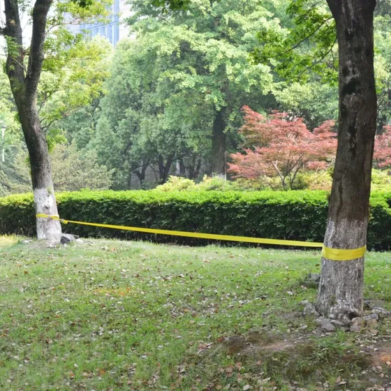 Slackline 15 m x 50 mm  150 kg, gul