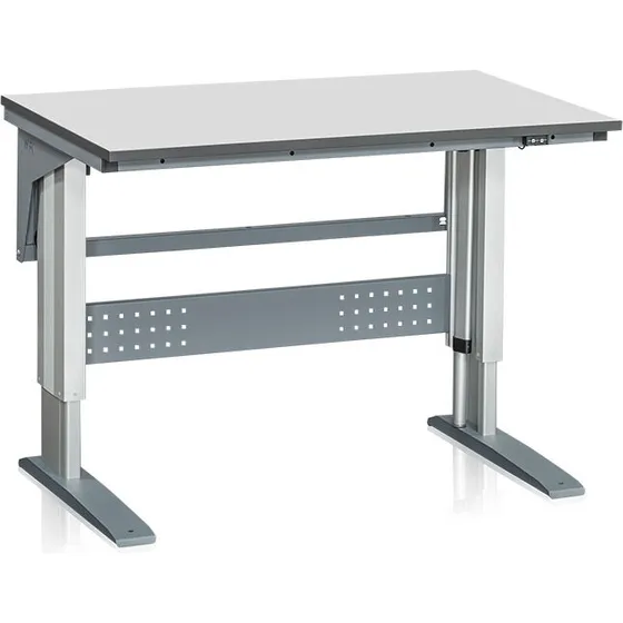 WFI W300 motoriseret bordstativ, 300 kg, 676–1126 mm