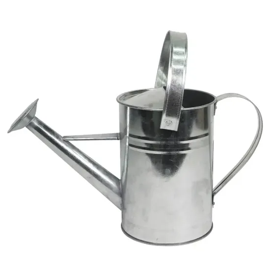 Galvaniseret vandkande med spreder 2 L  HOME it