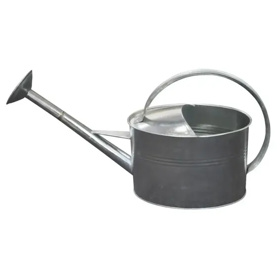 Galvaniseret vandkande med spreder 5 L
