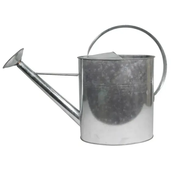 Galvaniseret vandkande med spreder 10 L