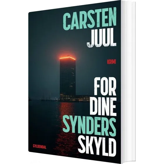 For dine synders skyld — Carsten Juul