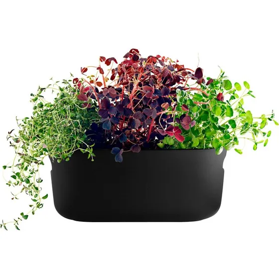 Eva Solo Selvvandende Herb Organiser, Sort