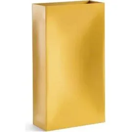 Northern Into Vase  Yellow