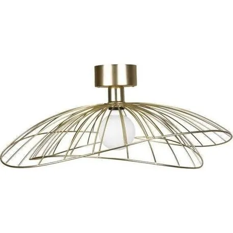 Globen Lighting Ray 60 væg-/loftlampe i børstet messing