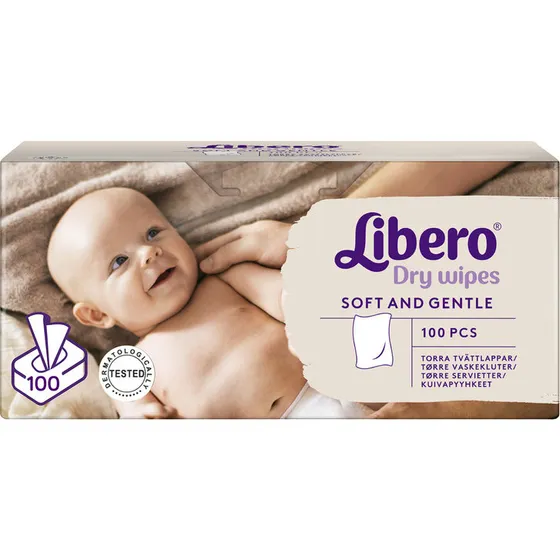 Libero Dry Wipes 100 stk 19x19 cm