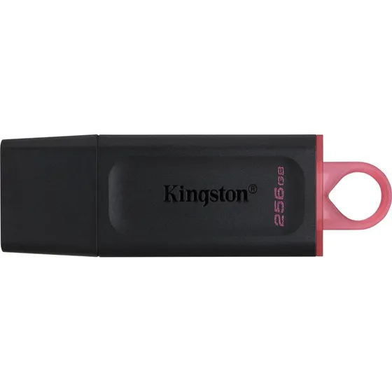 Kingston DataTraveler Exodia 256 GB USB 3.2 Gen 1 (Sort/Pink)