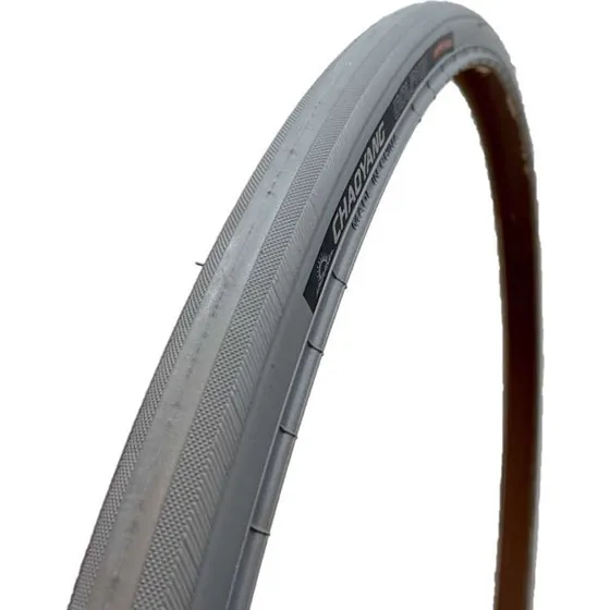 Chaoyang Dolphin trddk 24 x 1 (23-520) - gr