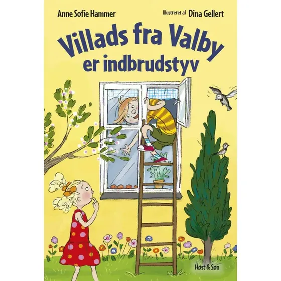Villads fra Valby er indbrudstyv (Anne Sofie Hammer)