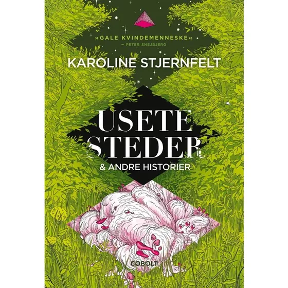 Usete steder – Karoline Stjernfelt (noveller)