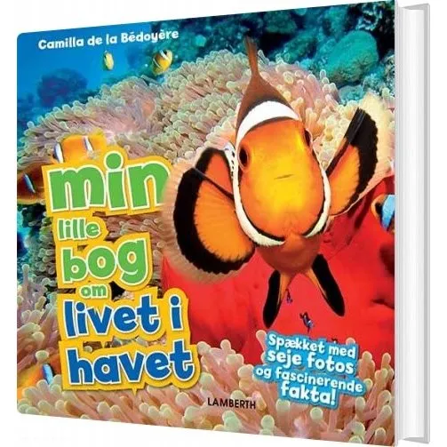 Min lille bog om livet i havet – Camilla De La Bédoyére