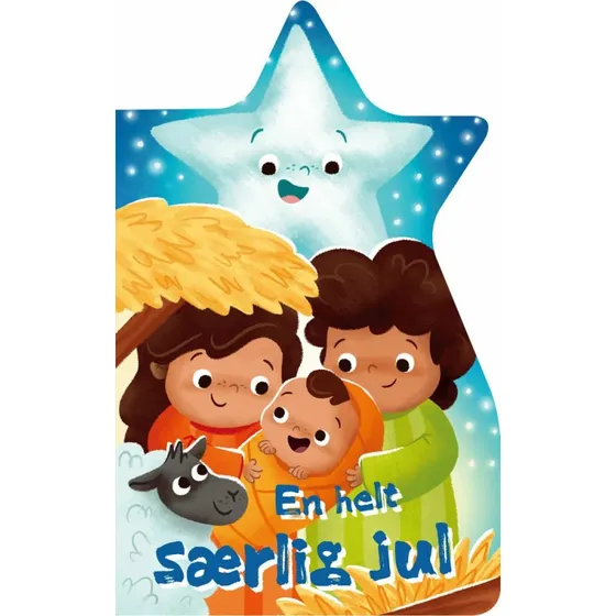 En helt særlig jul – billedbog om Lille Bitte Blinke