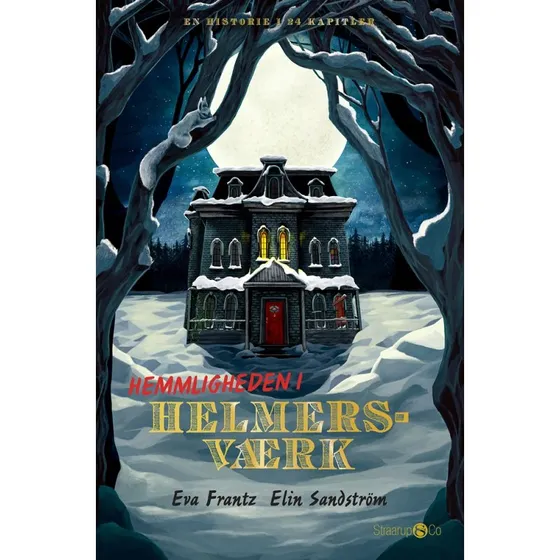 Hemmeligheden i Helmersværk - Eva Frantz