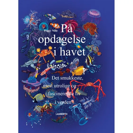 På opdagelse i havet – Peggy Nille (myldrebog)
