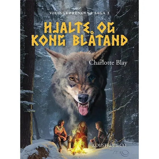 Hjalte og Kong Blåtand – Vikingedrengens saga 2