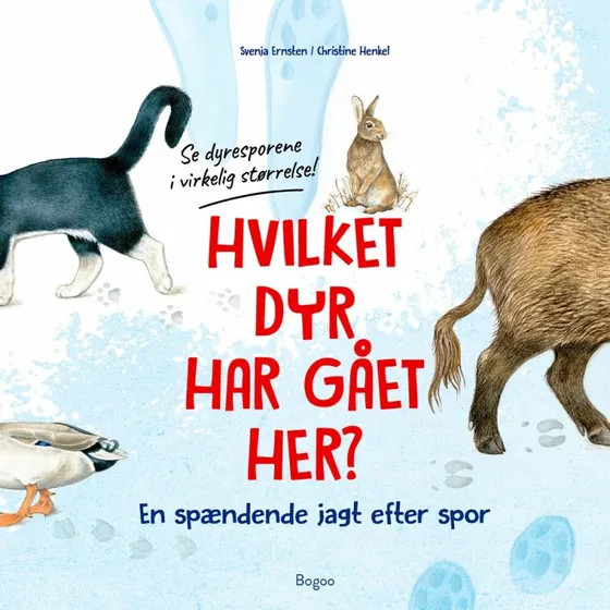 Hvilket dyr har gået her? Dyrespor i rigtig størrelse