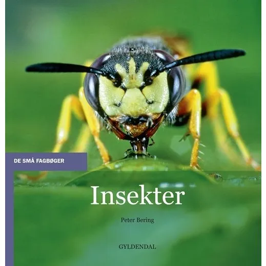 Insekter - Peter Bering: En bog om insekternes verden