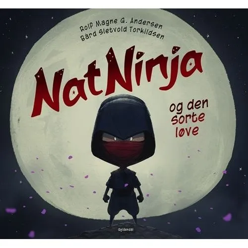 Natninja – børnebog af Rolf Magne G. Andersen