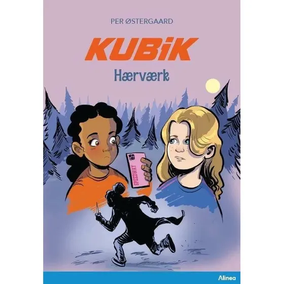 Kubik: Hærværk (Blå Læseklub)