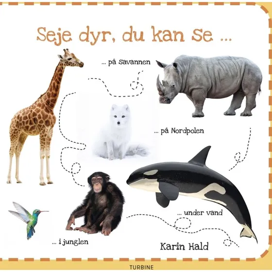 Seje dyr, du kan se – billedbog for børn