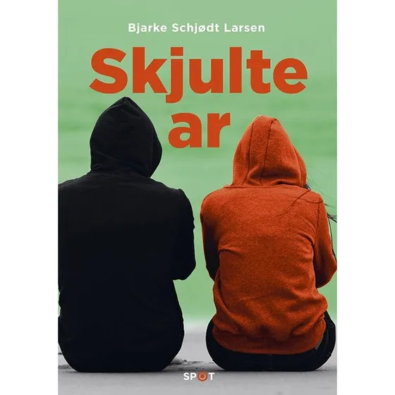 Skjulte ar - Bjarke Schjødt Larsen
