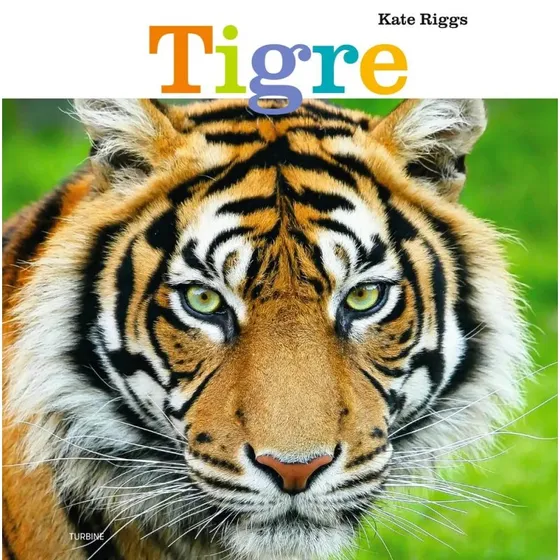 Tigre – børnebog af Kate Riggs