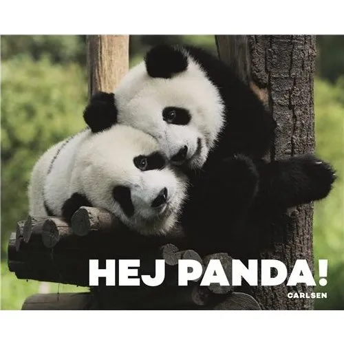 Hej Panda! – Papbog med billeder til småbørn