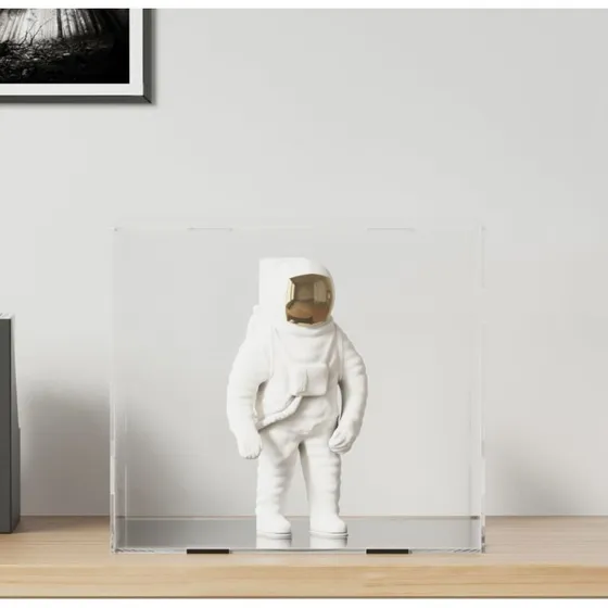 vidaXL displaykasse i akryl transparent 40x36x35 cm