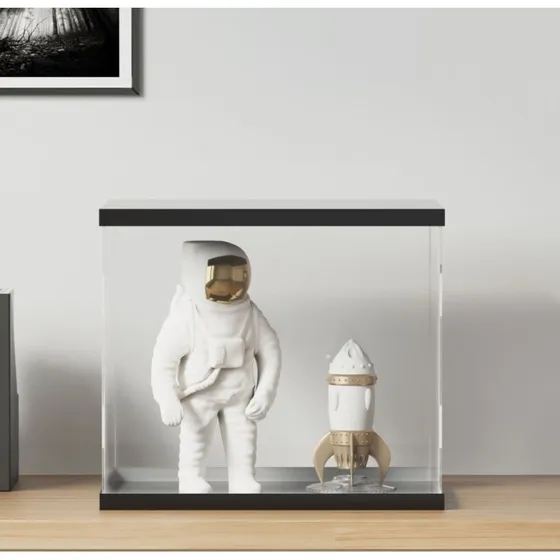 vidaXL displaykasse akryl 403635 cm, transparent/sort