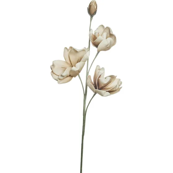 Happia dekorationsblomst sand D15 L85