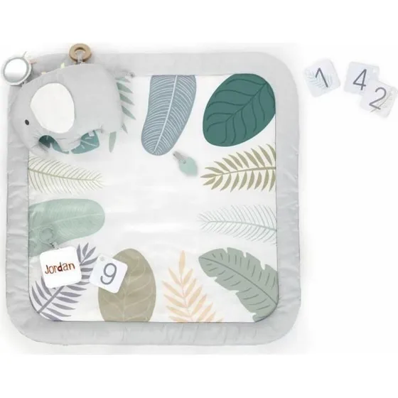 Ingenuity Sprout Spot legetppe, multifarvet (0+ mdr)