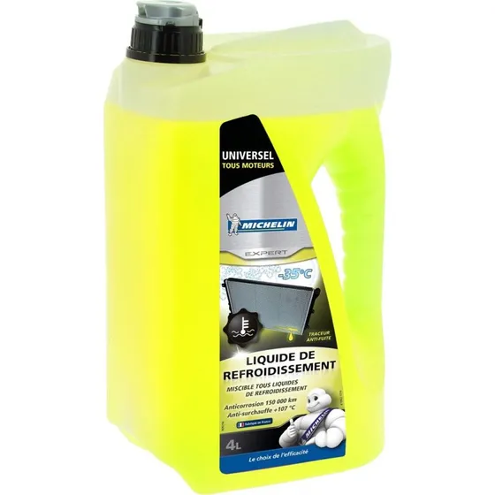 Michelin Frostvske Expert 4 L (009214) -35C gul