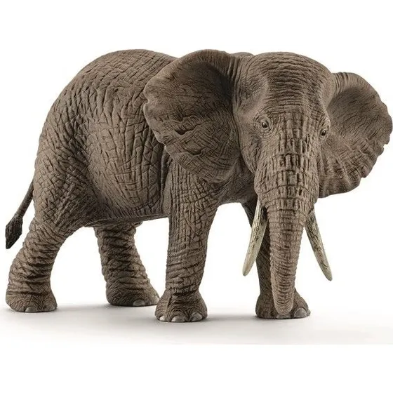 Schleich African Elephant (hun)