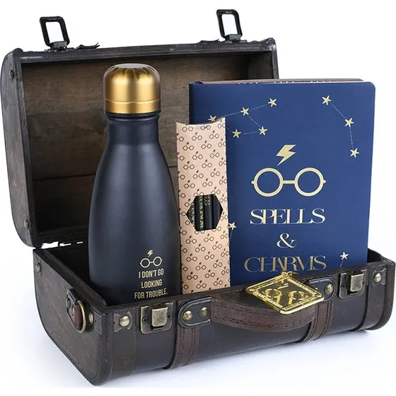 Pyramid Harry Potter 'Trouble Finds Me' Premium gavesæt