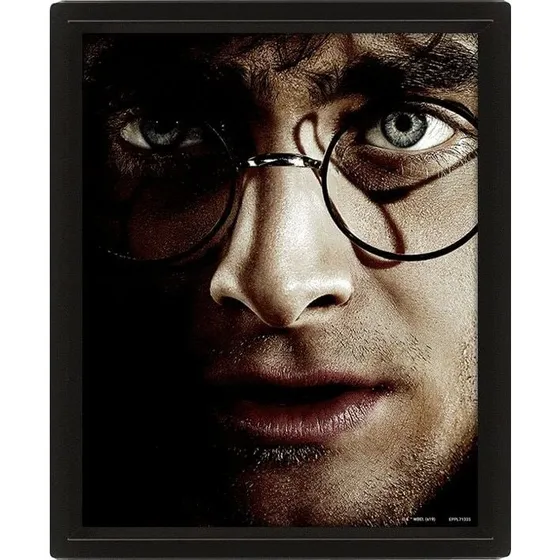 Pyramid Harry Potter vs Voldemort 3D indrammet billede 20x