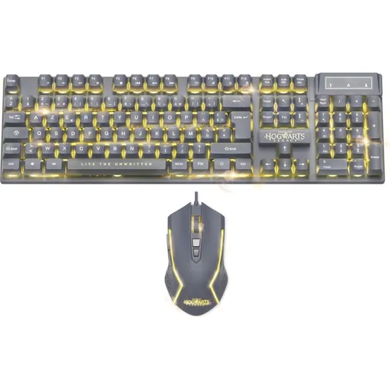 Trade Invaders Hogwarts Legacy Tastatur & Mus (AZERTY, PS4-kompatibel)