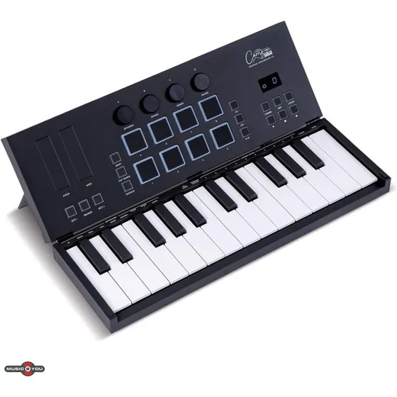 Blackstar Carry-On FC25 foldbart 25-tasters MIDI (sort)