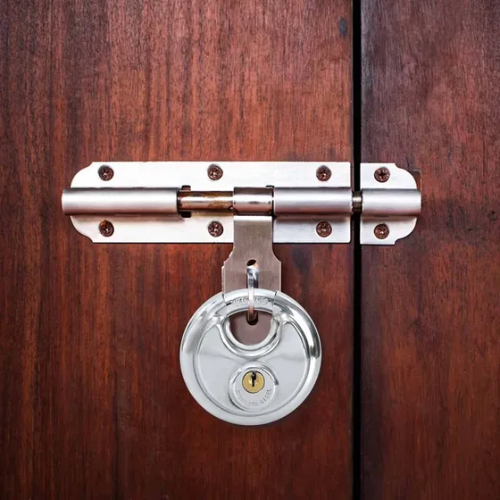 vidaXL Discusls med ngler 2 stk, slv (rustfrit stl)